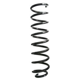 Fahrwerksfeder GKNW10109 von SPIDAN günstig für 75,58 € online kaufen