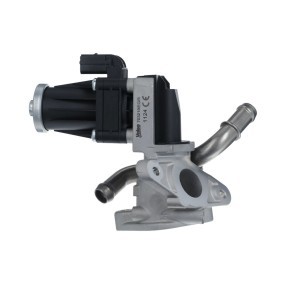 AGR-Ventil für FORD von VALEO