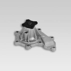 Wasserpumpe P7365 von HEPU günstig für 59,00 € online kaufen