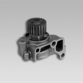 Wasserpumpe 981716 von GK günstig für 102,53 € online kaufen