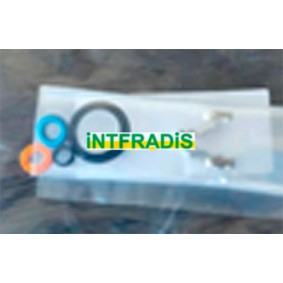 Compre Junta de inyector de INTFRADIS online para Citan II Tourer (W420) a precios moderados