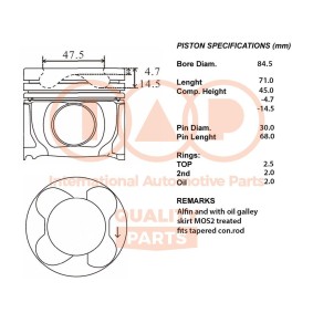 Kolben 100-51031 von IAP QUALITY PARTS günstig für 1034,38 € online kaufen