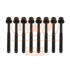 Zylinderkopfschraubensatz 119-13190 von IAP QUALITY PARTS günstig für 91,10 € online kaufen