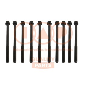 Zylinderkopfschraubensatz 119-16102 von IAP QUALITY PARTS günstig für 95,25 € online kaufen