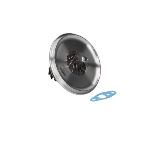 Compre Cartucho CHRA da KAMOKA 8604248 a um preço baixo por 178,48 €