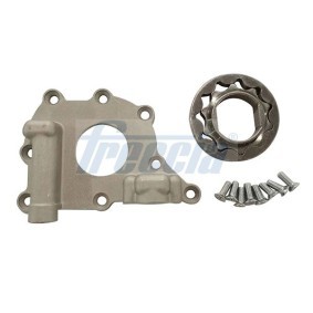Acquista Pompa olio da FRECCIA online per Aveo / Kalos Hatchback (T250, T255) a prezzi moderati