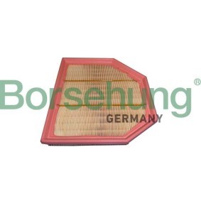 Acquista Filtro aria da Borsehung B12454 a buon mercato per soli 11,00 €