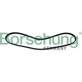 Acquista Cinghia servizi da Borsehung B12503 a buon mercato per soli 10,56 €
