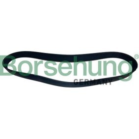 Acquista Cinghia servizi da Borsehung B12504 a buon mercato per soli 18,76 €