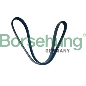 Keilrippenriemen für MERCEDES-BENZ von Borsehung