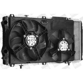 Kühlerlüfter LEK005 von BERU günstig für 927,45 € online kaufen