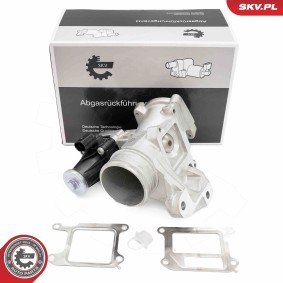 Compre Válvula EGR da ESEN SKV 14SKV264 a um preço baixo por 176,38 €