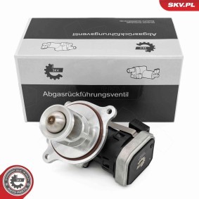 AGR-Ventil 14SKV272 von ESEN SKV günstig für 356,13 € online kaufen