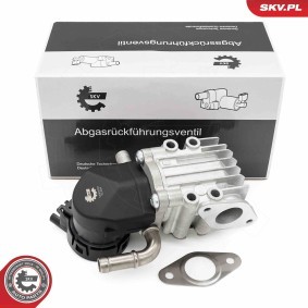 Acquista Valvola EGR da ESEN SKV 14SKV283 a buon mercato per soli 182,57 €