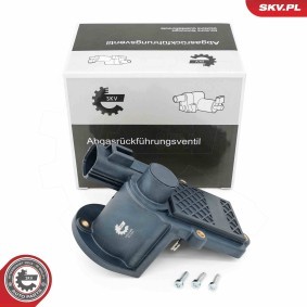 Compre Válvula EGR da ESEN SKV 14SKV286 a um preço baixo por 179,79 €