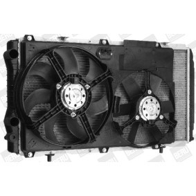 Kühlerlüfter LEK006 von BERU günstig für 687,38 € online kaufen