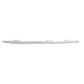 Zier- / Schutzleiste, Kühlergitter 6502-07-3521994P von BLIC günstig für 19,87 € online kaufen