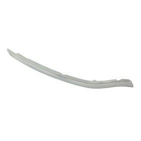Compre Friso de para-choques da BLIC 6502-07-6040994P a um preço baixo por 24,65 €