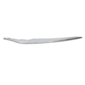 Zier- / Schutzleiste, Kühlergitter 6502-07-6740995P von BLIC günstig für 27,68 € online kaufen
