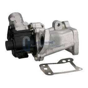AGR-Ventil EGRL06JM von JAPANPARTS günstig für 206,23 € online kaufen