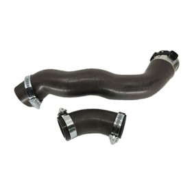Ladeluftschlauch 82566 von BUGIAD günstig für 75,36 € online kaufen
