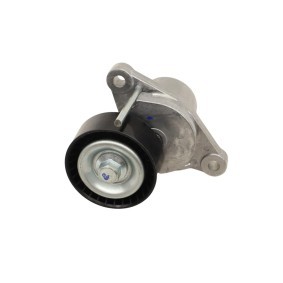 Riemenspanner, Keilrippenriemen FT10014 von FAST günstig für 64,81 € online kaufen