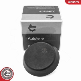 Aufnahme, Wagenheber 96SKV299 von ESEN SKV günstig für 13,32 € online kaufen