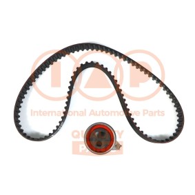 Achetez des Kit de distribution IAP QUALITY PARTS 127-11063K à prix pour 105,98 €