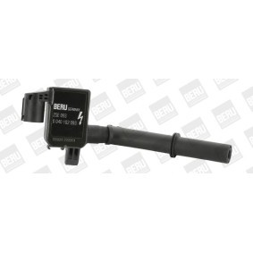 Kühlerlüfter LE053 von BERU günstig für 335,56 € online kaufen