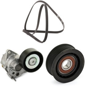 Keilrippenriemensatz 542R0334P von RIDEX PLUS günstig für 63,32 € online kaufen