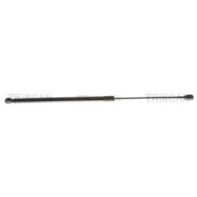 Heckklappendämpfer 8710 43310 von TRISCAN günstig für 22,10 € online kaufen