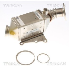 Acquista Radiatore EGR da TRISCAN 8813 15077 a buon mercato per soli 330,99 €