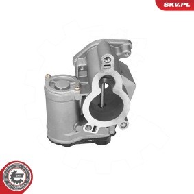 Compre Válvula EGR da ESEN SKV 14SKV317 a um preço baixo por 88,12 €