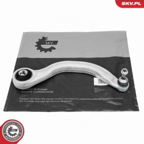 Compre Braço de suspensão da ESEN SKV 69SKV315 a um preço baixo por 96,30 €