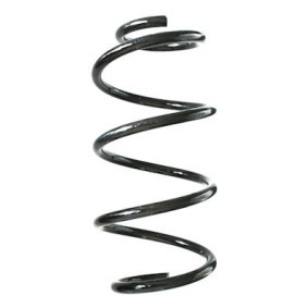 Compre Mola de suspensão da SPIDAN GKNW10202 a um preço baixo por 76,03 €