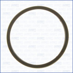 Dichtung, Thermostat für VOLVO von AJUSA