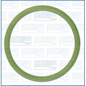 Dichtung, Wärmetauscher 16050800 von AJUSA günstig für 19,58 € online kaufen