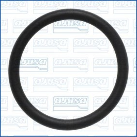 Dichtung, Wärmetauscher 16106300 von AJUSA günstig für 14,01 € online kaufen