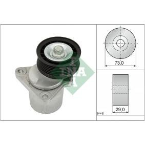 Spannarm, Keilrippenriemen 534 0128 20 von INA günstig für 70,57 € online kaufen