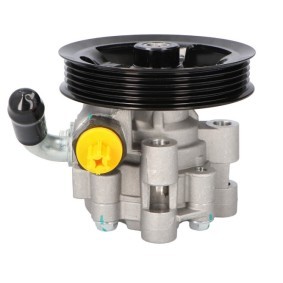 Achetez des Pompe de direction assistée STARQ SQ924-20114 à prix pour 93,89 €
