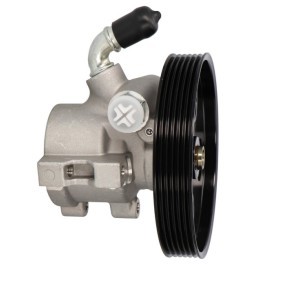 Köp Servopump av STARQ SQ924-21110 till det låga priset 1319,25 kr