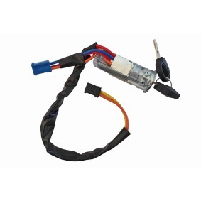 Schließzylinder, Zündschloß V22-1389 von VAICO günstig für 341,96 € online kaufen