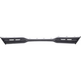 Compre Grelha de radiador da DIEDERICHS 6543140 a um preço baixo por 70,78 €