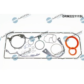 Dichtungssatz, Kurbelgehäuse DRM222111SL von DR.MOTOR AUTOMOTIVE günstig für 112,43 € online kaufen