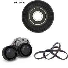 Köp Drivremssats av RIDEX 542R1233 till det låga priset 1050,17 kr