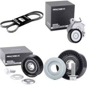 Achetez des Jeu de courroies trapézoïdales à nervures RIDEX 542R1266 à prix pour 71,80 €