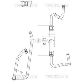 Compre Tubo da direção hidráulica de TRISCAN online para 206 Van a preços moderados