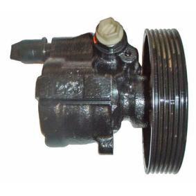 Servopumpe 44.07.0100-8 von LIZARTE günstig für 197,84 € online kaufen