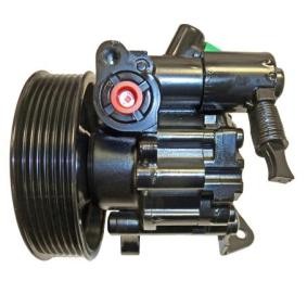 Servopumpe 44.13.0120-1 von LIZARTE günstig für 255,85 € online kaufen