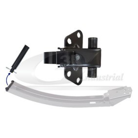 Comprar Portón trasero de 3RG 85777 a bajo precio de 41,47 €